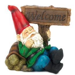 Accent Plus Solar Light-Up Welcome Garden Gnome and Turtle