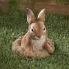 Accent Plus Stone-Look Bunny Garden Sculpture