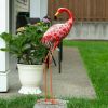 Accent Plus Bright Flamingo Yard Art - Looking Back