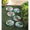 Accent Plus Orange Dragonfly Love Blooms Here Cement Garden Stepping Stone