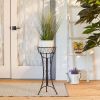 Summerfield Terrace Black Iron Plant Stand with Basket