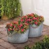 Accent Plus Galvanized Metal Planters with Rope Handles