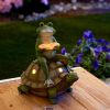 Summerfield Terrace Frog Reading on Turtle Solar Garden Light
