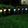 6 Pcs Solar Garden Tulip Flower Light Outdoor Solar Pathway light IP54 Water-resistant Landscape Lights